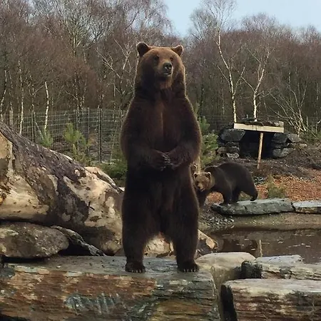 Oceanview Glamping Pod Culdaff