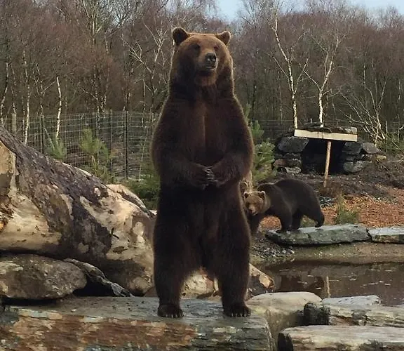 Oceanview Glamping Pod カルダフ